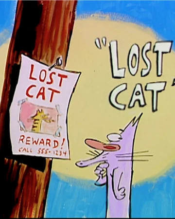 Lost Cat The Cartoon Network Wiki Fandom