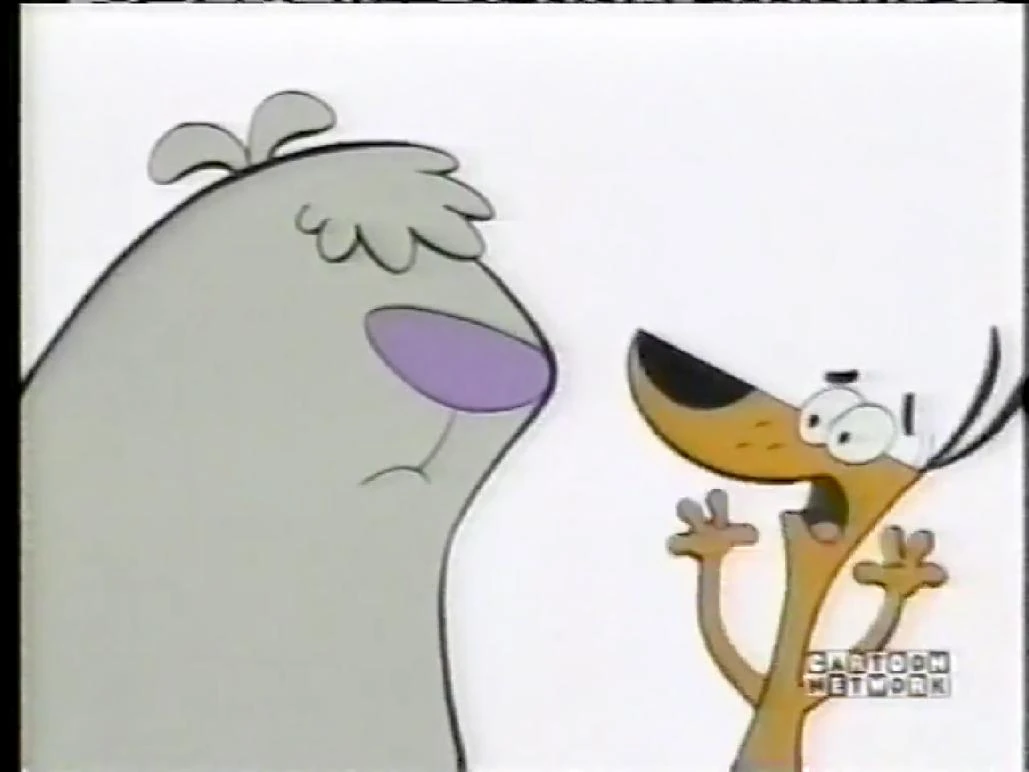 Screen Bug/Gallery The Cartoon Network Wiki Fandom