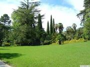Jardin.