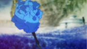 Dune's Rose
