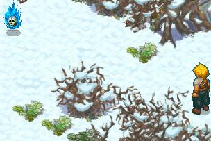 Ice Elemental Scenario 1