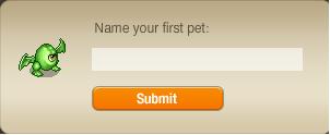 First Pet