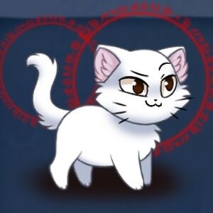 Avatar Customization Castle Cats Wiki Fandom