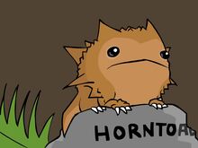 37727 danpaladin horntoad