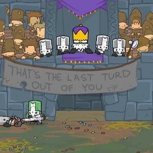 Arenas Castle Crashers Wiki Fandom