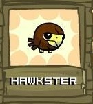 Hawster