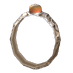 Earth Ring