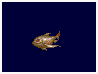 08 Killer fish