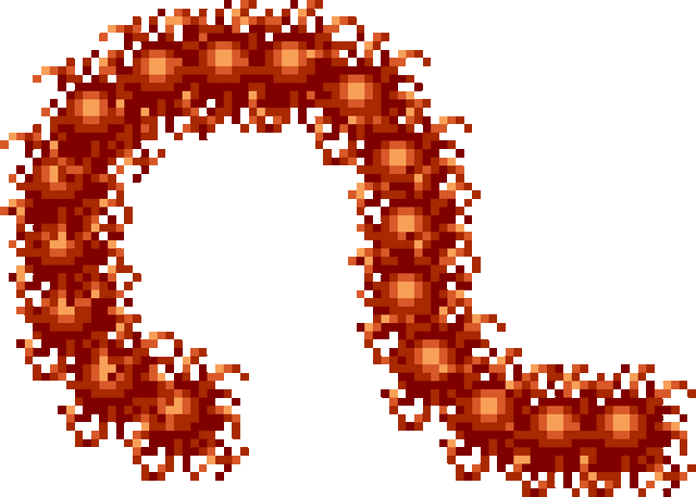 File:Gloworm.gif