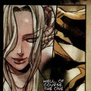 Castlevania Curse Of Darkness Comic Castlevania Wiki Fandom