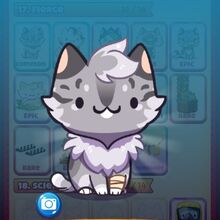 Fierce Cat Game The Cat Collector Wiki Fandom
