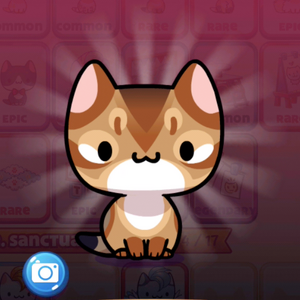 Club Kitties Cat Game The Cat Collector Wiki Fandom