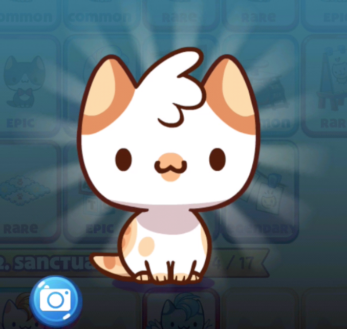 Club Kitties | Cat Game - The Cat Collector! Wiki | Fandom