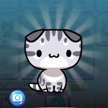 Club Kitties Cat Game The Cat Collector Wiki Fandom