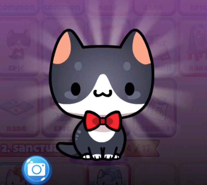 Club Kitties Cat Game The Cat Collector Wiki Fandom