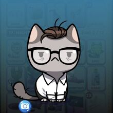 Nightmare Cat Game The Cat Collector Wiki Fandom