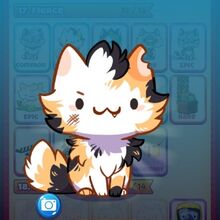 Fierce Cat Game The Cat Collector Wiki Fandom
