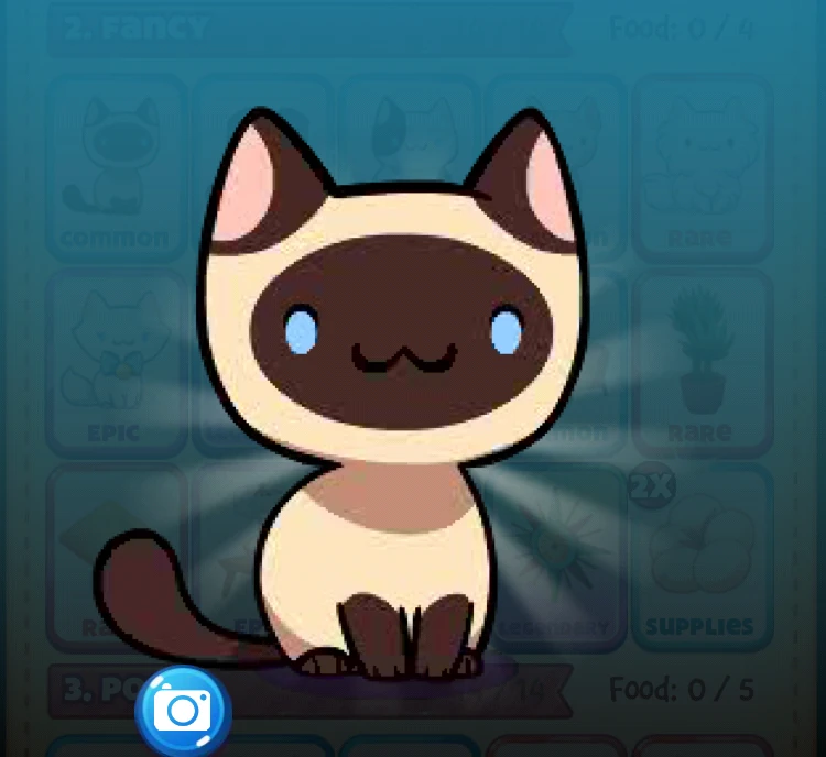 CategoryRooms Cat Game The Cat Collector! Wiki FANDOM powered by