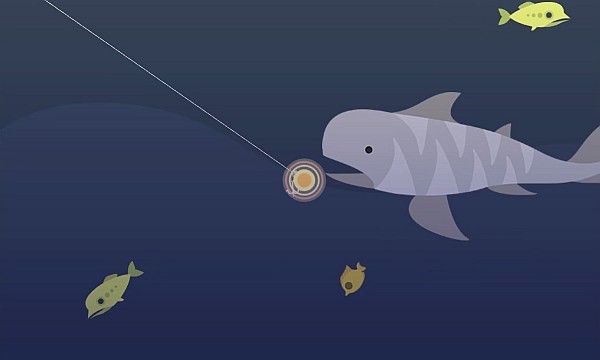 cave shark cat goes fishing