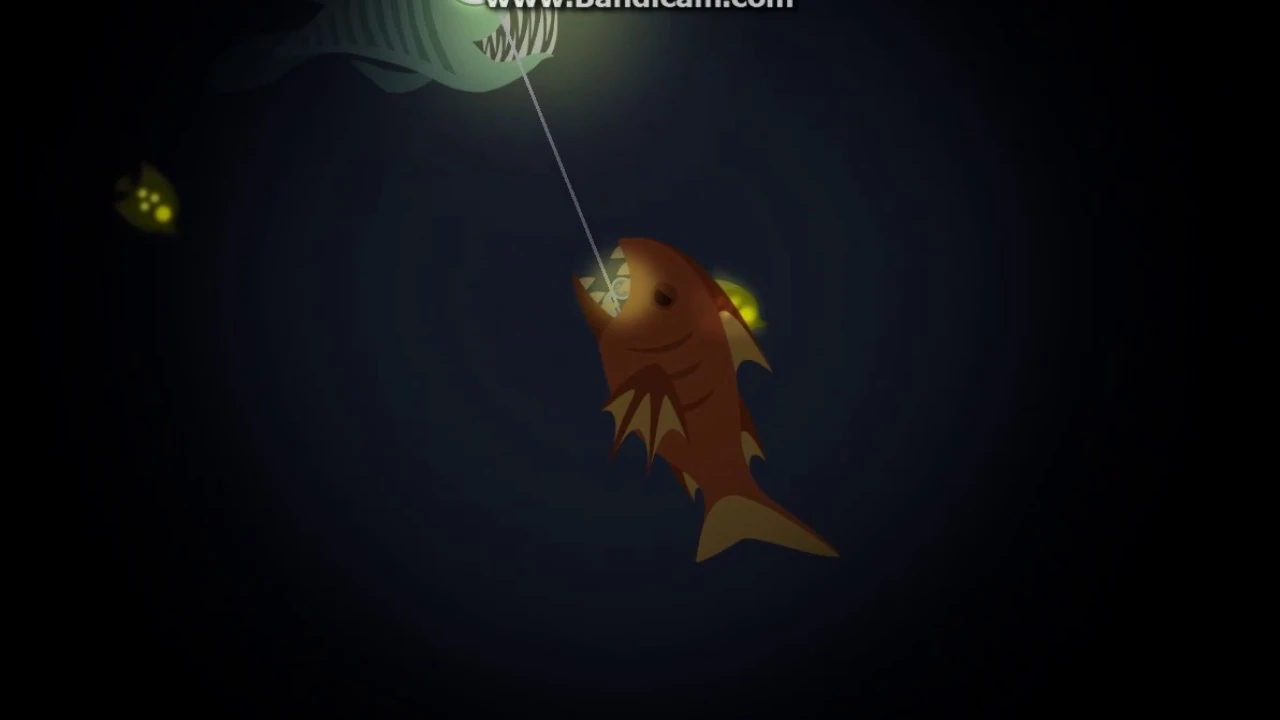Cat Goes Fishing Huge Hook