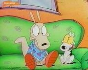 Tn rocko