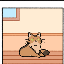Cats Cat Condo Wiki Fandom
