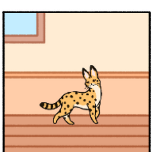 Cats Cat Condo Wiki Fandom