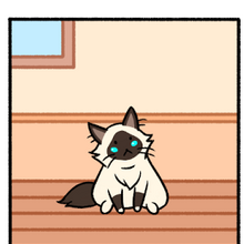 Cats Cat Condo Wiki Fandom