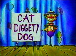 cat diggity dog