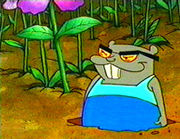 Gopher 2