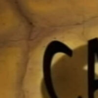 Catdog And The Great Parent Mystery Catdog Wiki Fandom