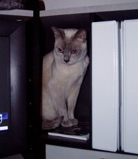 CubbyLego