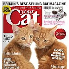 Your Cat Magazine Cats Wiki Fandom