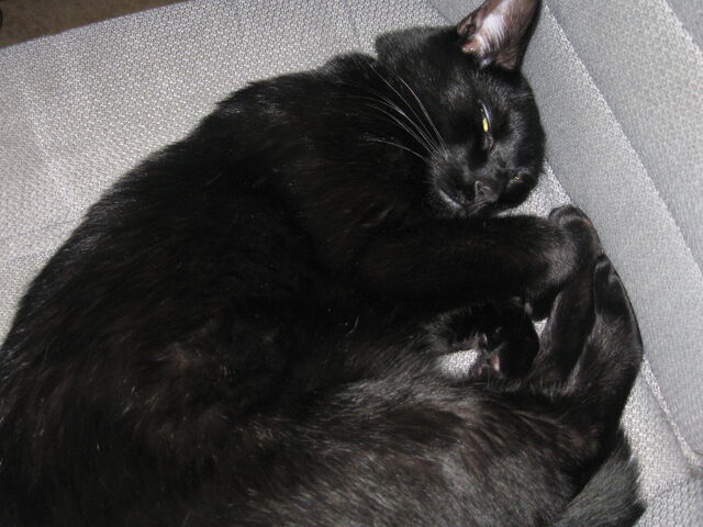 File:Lucky3.jpg