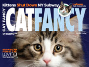 Category Magazines Cats Wiki Fandom