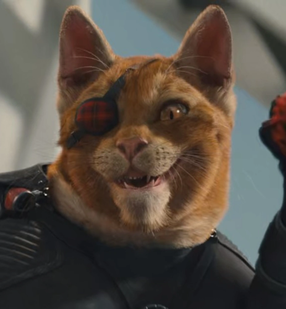 Duncan MacDougall Cats and Dogs Wiki Fandom