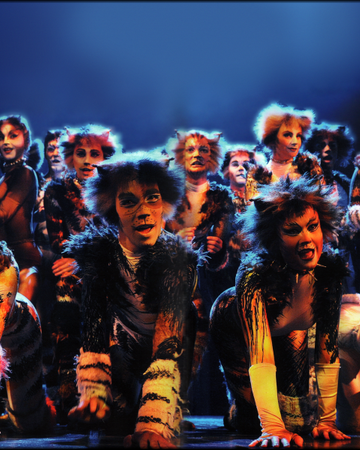 The Naming Of Cats Cats Musical Wiki Fandom