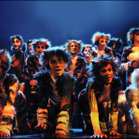 The Naming Of Cats Cats Musical Wiki Fandom