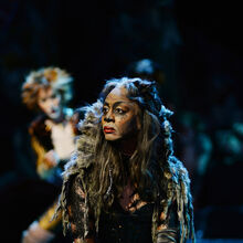 Grizabella The Glamour Cat Cats Musical Wiki Fandom