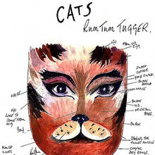 Makeup Designs References Cats Musical Wiki Fandom