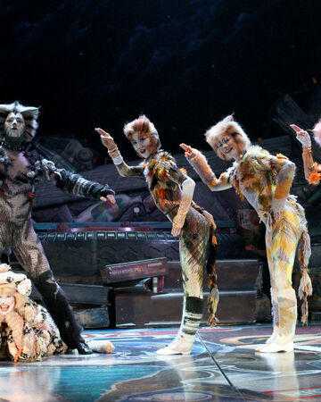 The Old Gumbie Cat Cats Musical Wiki Fandom