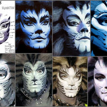 Makeup Designs References Cats Musical Wiki Fandom