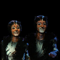 Tantomile Cats Musical Wiki Fandom