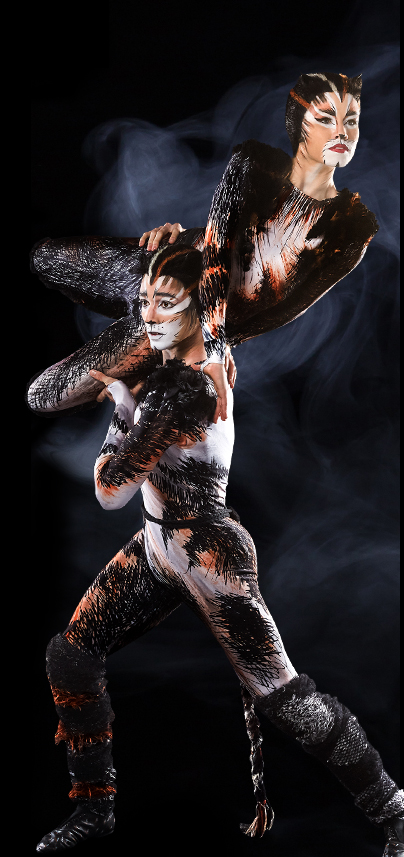 Corey Snide | 'Cats' Musical Wiki | FANDOM powered by Wikia