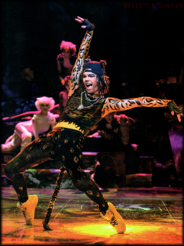 Blackpool 2015 Cats Musical Wiki Fandom