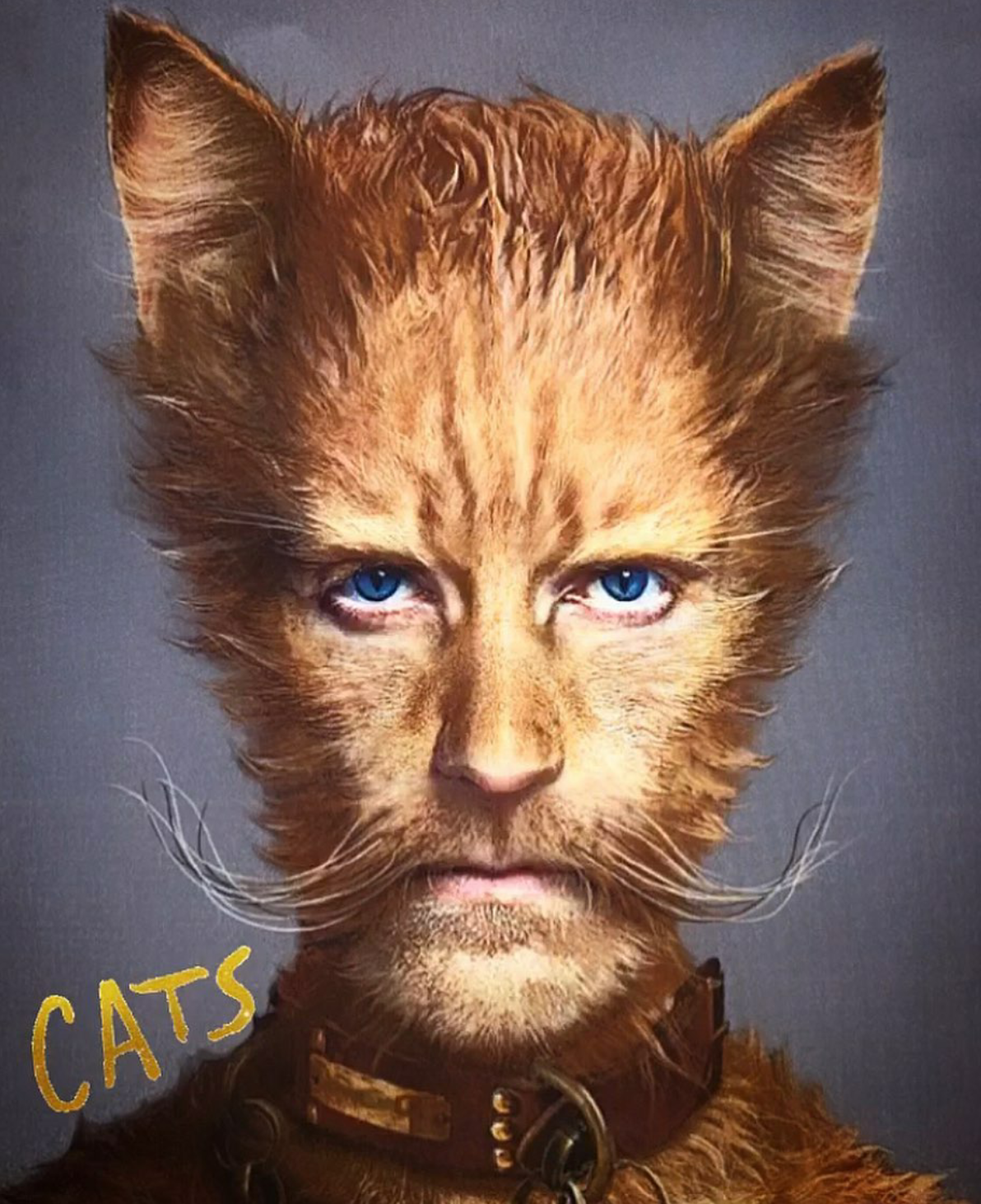 Skimbleshanks - 2019 Movie | 'Cats' Musical Wiki | Fandom