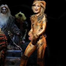 Japan 1983 Gallery 2018 Cats Musical Wiki Fandom