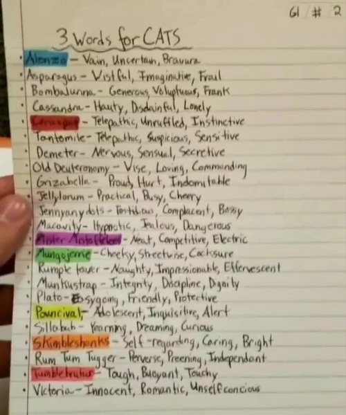 Character Descriptions 'Cats' Musical Wiki Fandom