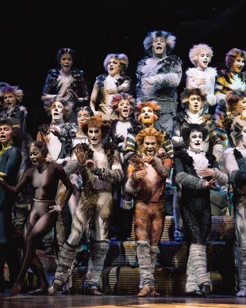 Jellicle Songs For Jellicle Cats Cats Musical Wiki Fandom