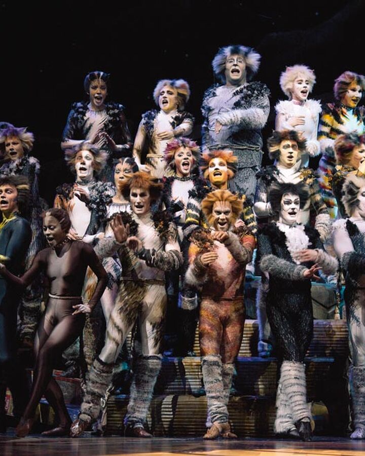Jellicle Songs For Jellicle Cats Cats Musical Wiki Fandom